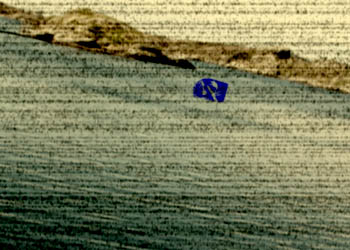 Mystiskt sj�kreatur f�revigat